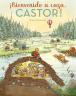 castor