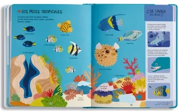 209027_animales_marinos_2