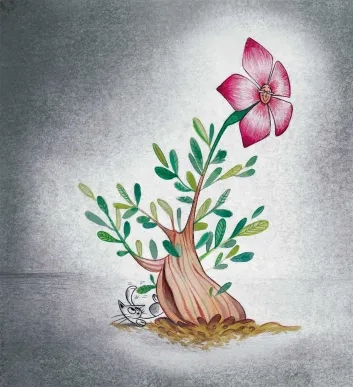 210434_ZIRIMIRI_Amonaren_gordelekua_Ibz_PDF_Web